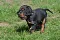 7_dsc_0039_800x530.jpg