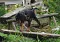 dsc_0092_800x554.jpg