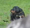 dsc_0127.jpg